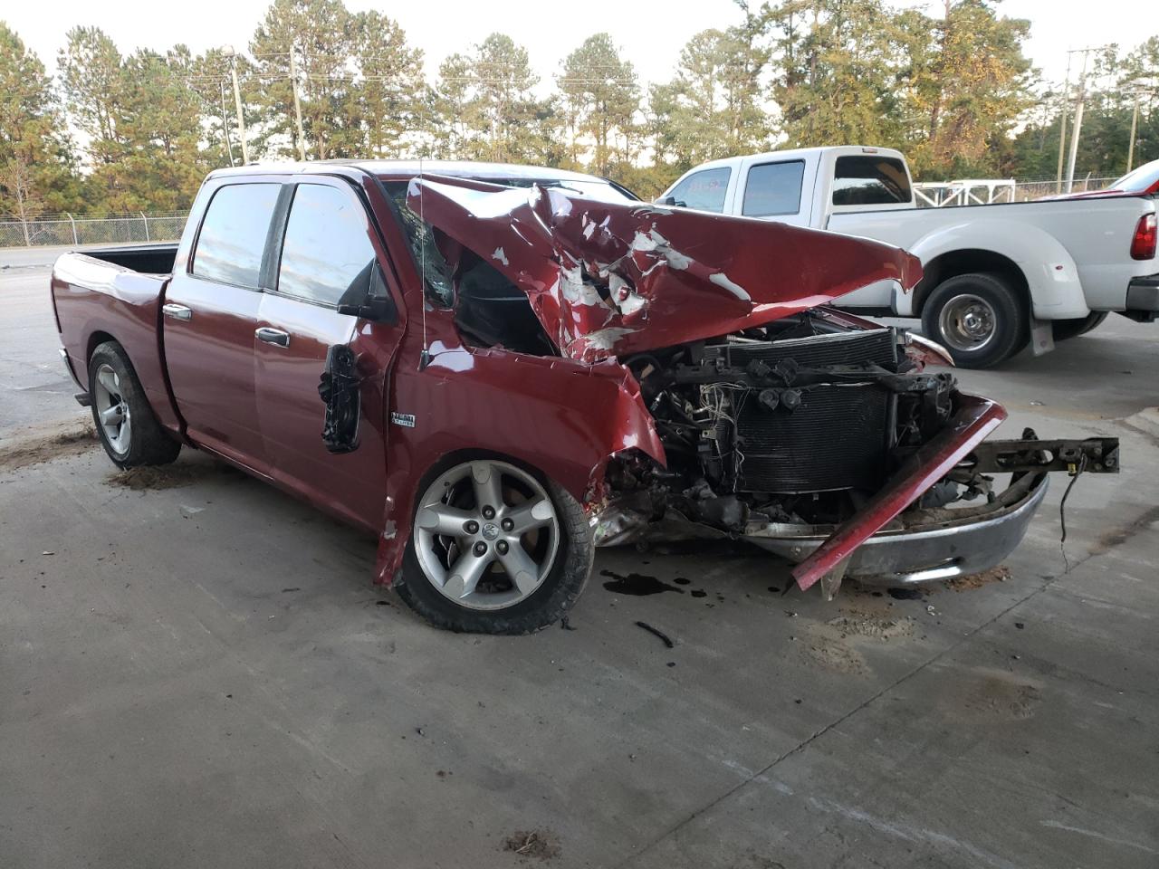 DODGE RAM 1500 2009 with VIN 1D3HV13T29S709148 - Photo from auction