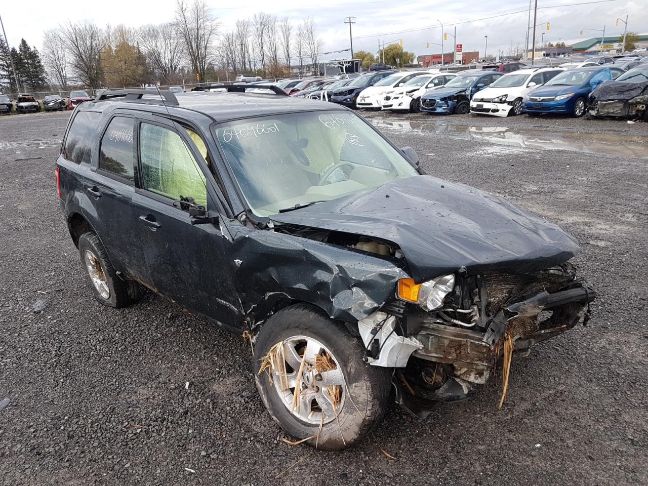FORD ESCAPE LIM 2008 with VIN 1FMCU94198KA37696 - Photo from auction