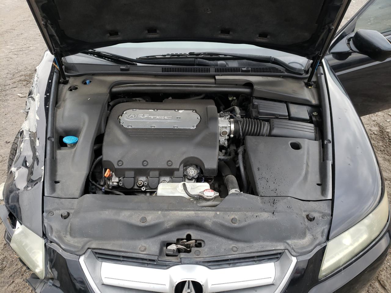 Photo 7 from auction – 2005 ACURA TL with VIN 19UUA66285A031381