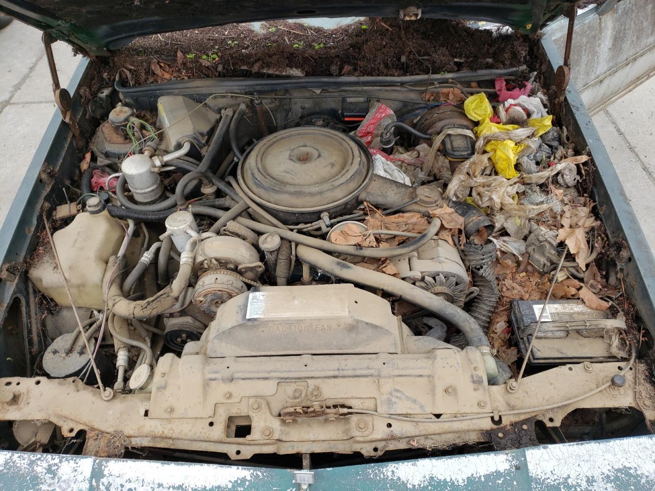 Photo 7 from auction – 1981 OLDSMOBILE CUTLASS SU with VIN 1G3AR47F3BR507341