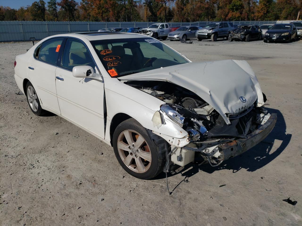 LEXUS ES 330 2005 with VIN JTHBA30G755073363 - Photo from auction