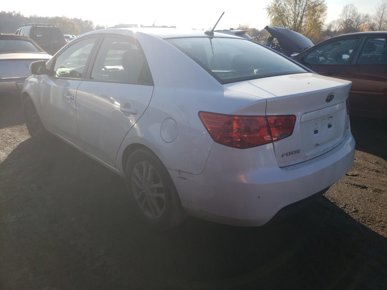 Photo 3 from auction – 2011 KIA FORTE EX with VIN KNAFU4A23B5332698