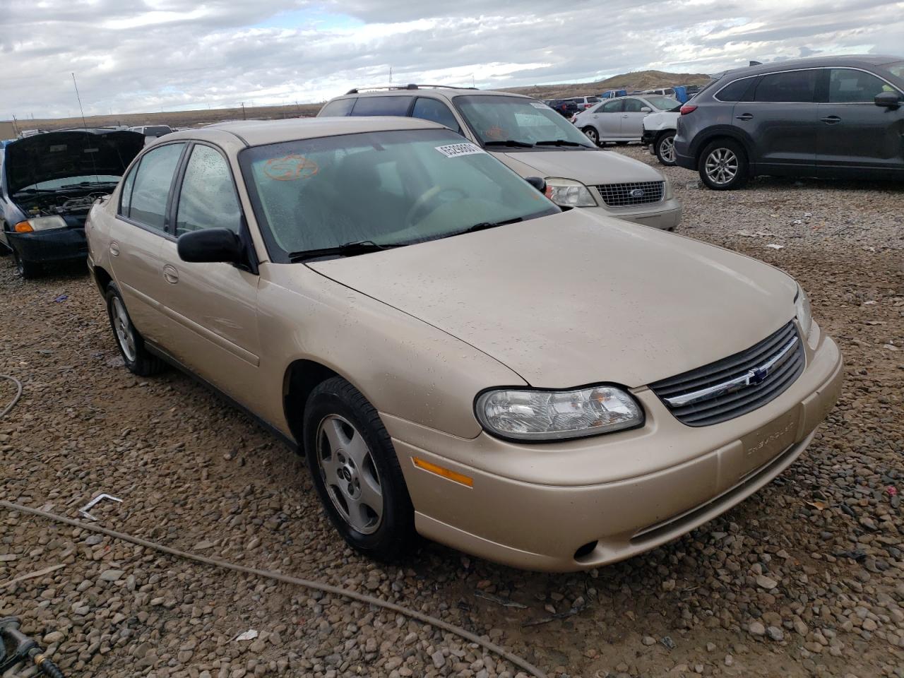 CHEVROLET CLASSIC 2005 with VIN 1G1ND52F05M233099 - Photo from auction