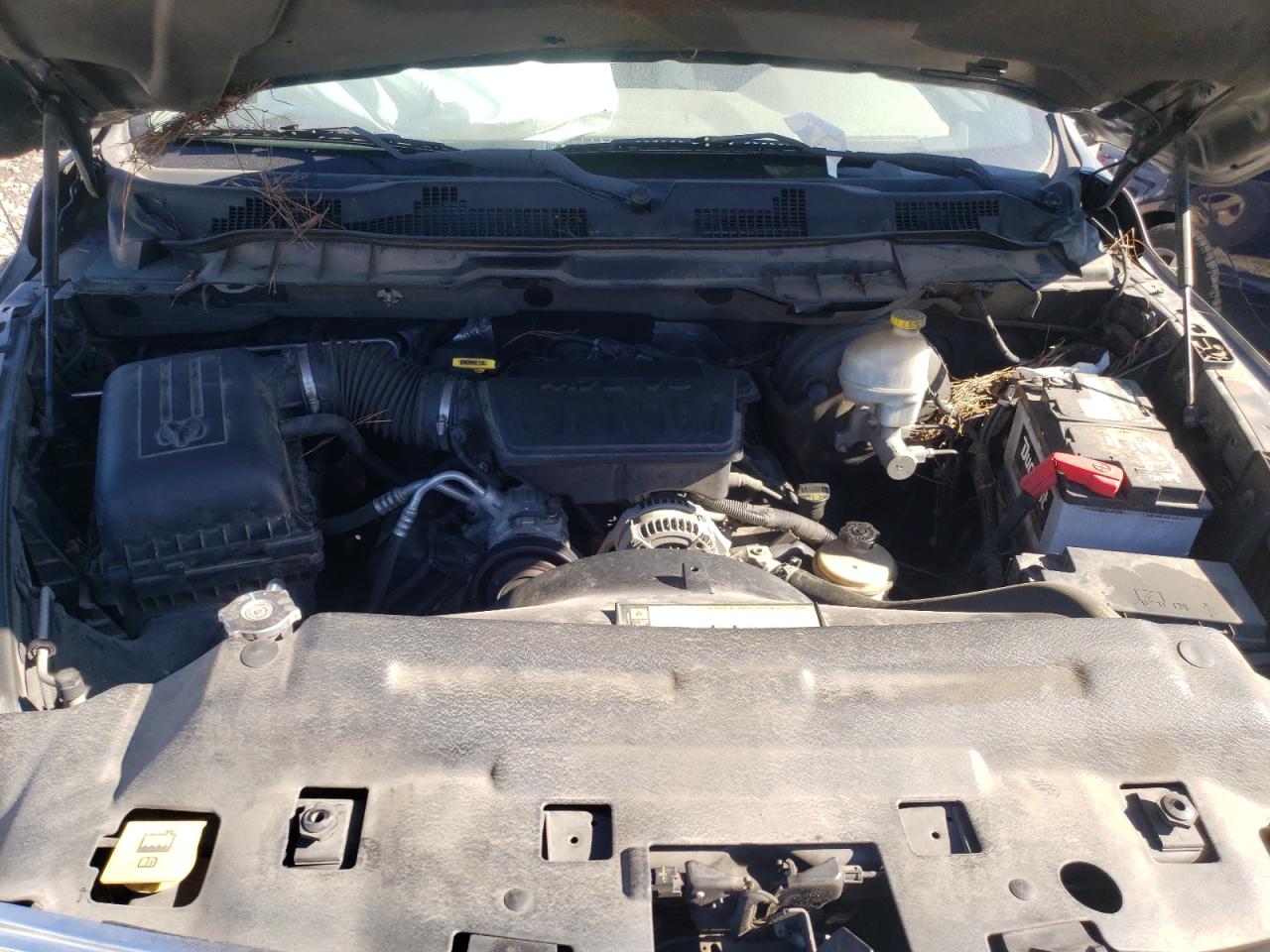 Photo 7 from auction – 2011 DODGE RAM 1500 with VIN 1D7RB1GP9BS606999