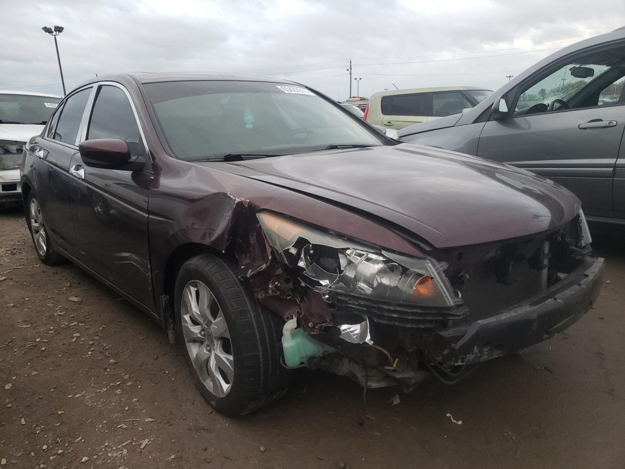 HONDA ACCORD EX 2010 with VIN 5KBCP3F77AB008244 - Photo from auction
