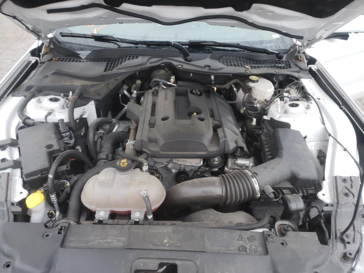 Photo 7 from auction – 2019 FORD MUSTANG with VIN 1FA6P8TH4K5178284