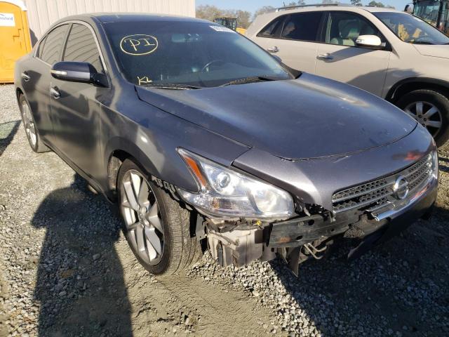 NISSAN MAXIMA S 2010 with VIN 1N4AA5AP8AC817037 - Photo from auction