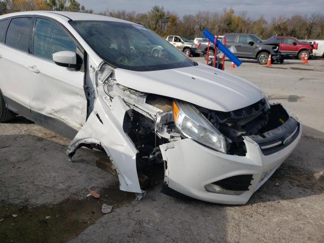 Photo 9 from auction – 2014 FORD ESCAPE SE with VIN 1FMCU0G99EUD59543