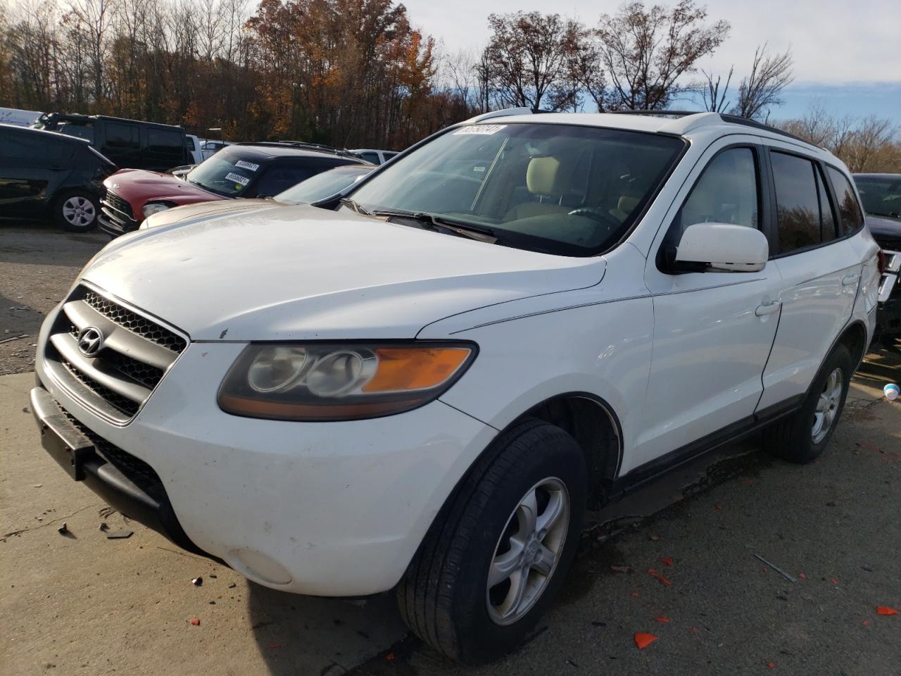 Photo 2 from auction – 2007 HYUNDAI SANTA FE G with VIN 5NMSG73D07H001994