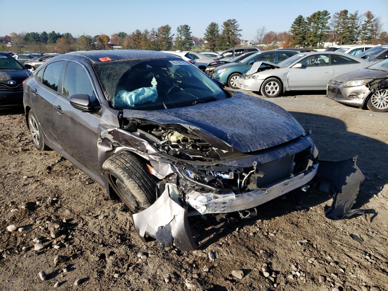 HONDA CIVIC LX 2019 with VIN 2HGFC2F62KH562085 - Photo from auction