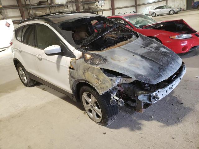FORD ESCAPE SE 2014 with VIN 1FMCU9GX5EUB05895 - Photo from auction