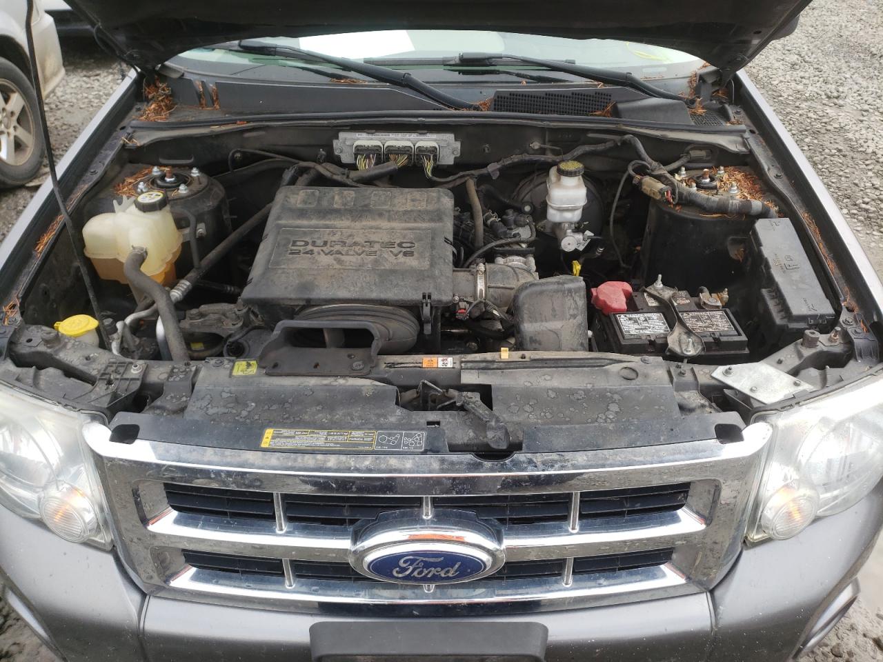Фото 7 с аукциона – 2010 FORD ESCAPE с VIN 1FMCU9DG9AKC28772