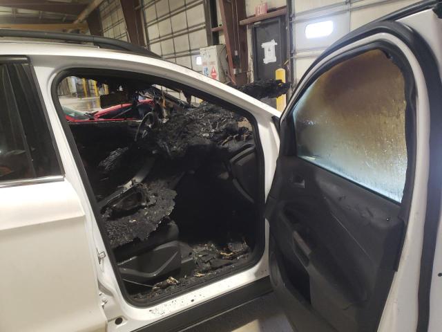 Photo 5 from auction – 2014 FORD ESCAPE SE with VIN 1FMCU9GX5EUB05895