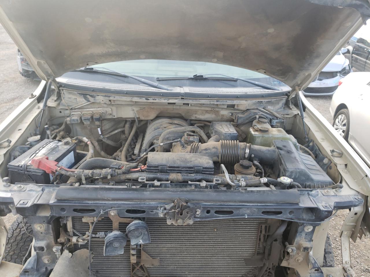 Photo 7 from auction – 2010 FORD F150 SUPER with VIN 1FTEW1E86AFB25530