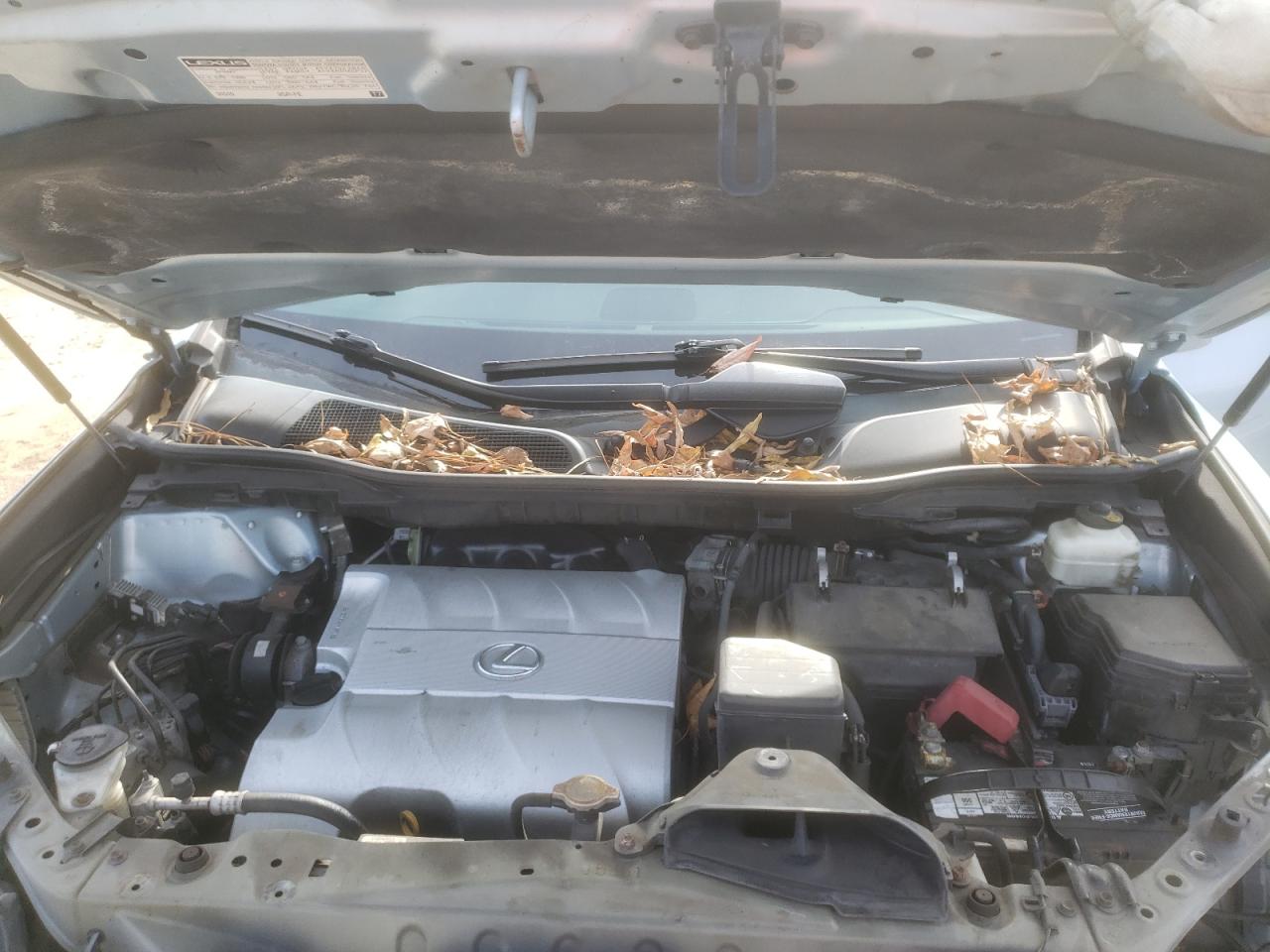 Photo 7 from auction – 2010 LEXUS RX 350 with VIN 2T2BK1BA5AC011738