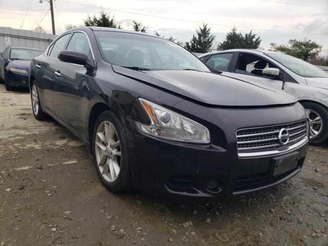 NISSAN MAXIMA S 2010 with VIN 1N4AA5AP7AC817160 - Photo from auction
