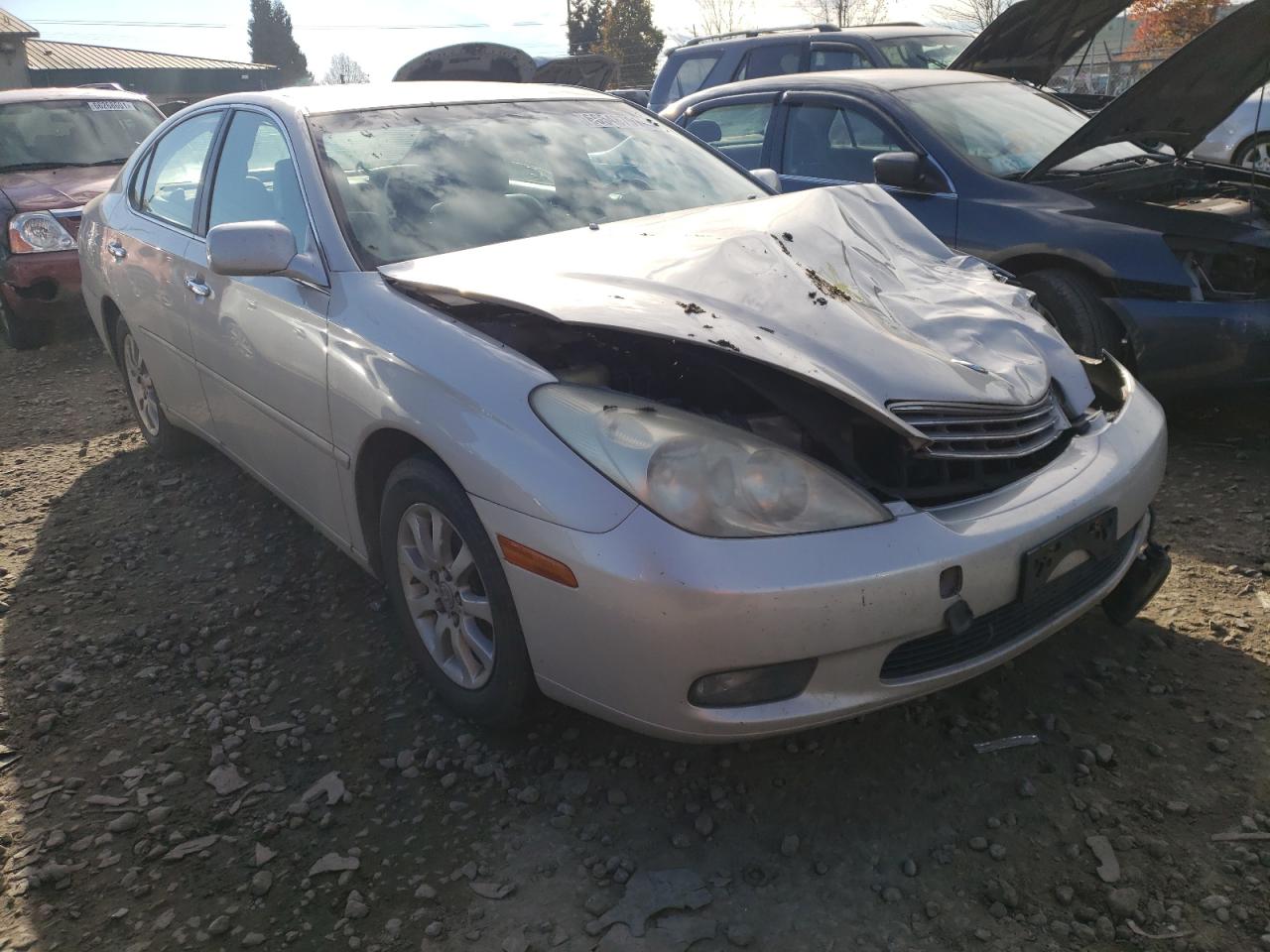 LEXUS ES 330 2004 with VIN JTHBA30G640015031 - Photo from auction