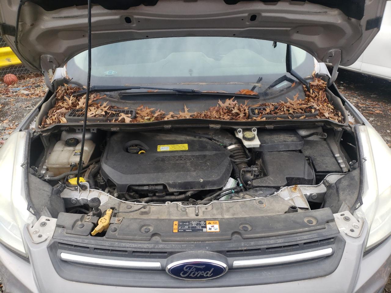 صورة رقم 7 من المزاد - 2013 FORD ESCAPE SE مع VIN 1FMCU0GX3DUD02445