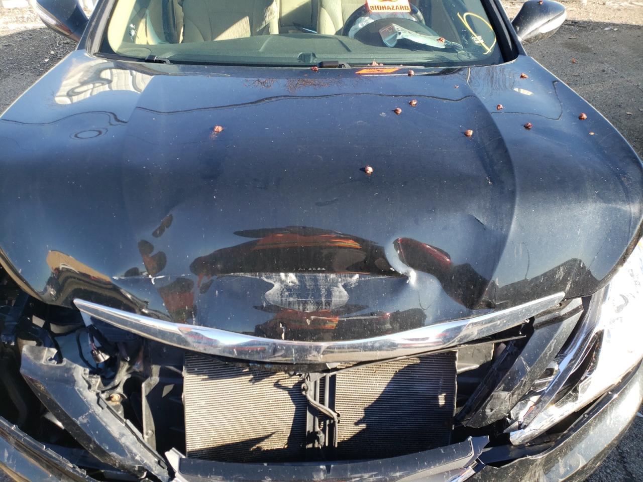 Photo 7 from auction – 2014 HYUNDAI SONATA GLS with VIN 5NPEB4AC3EH845418