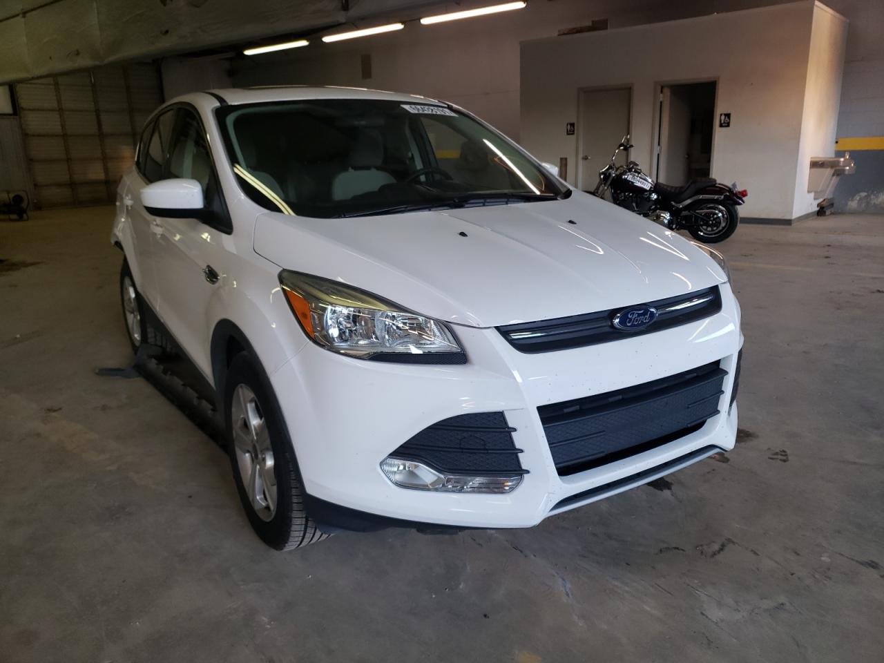 FORD ESCAPE SE 2014 with VIN 1FMCU0GX7EUB02525 - Photo from auction