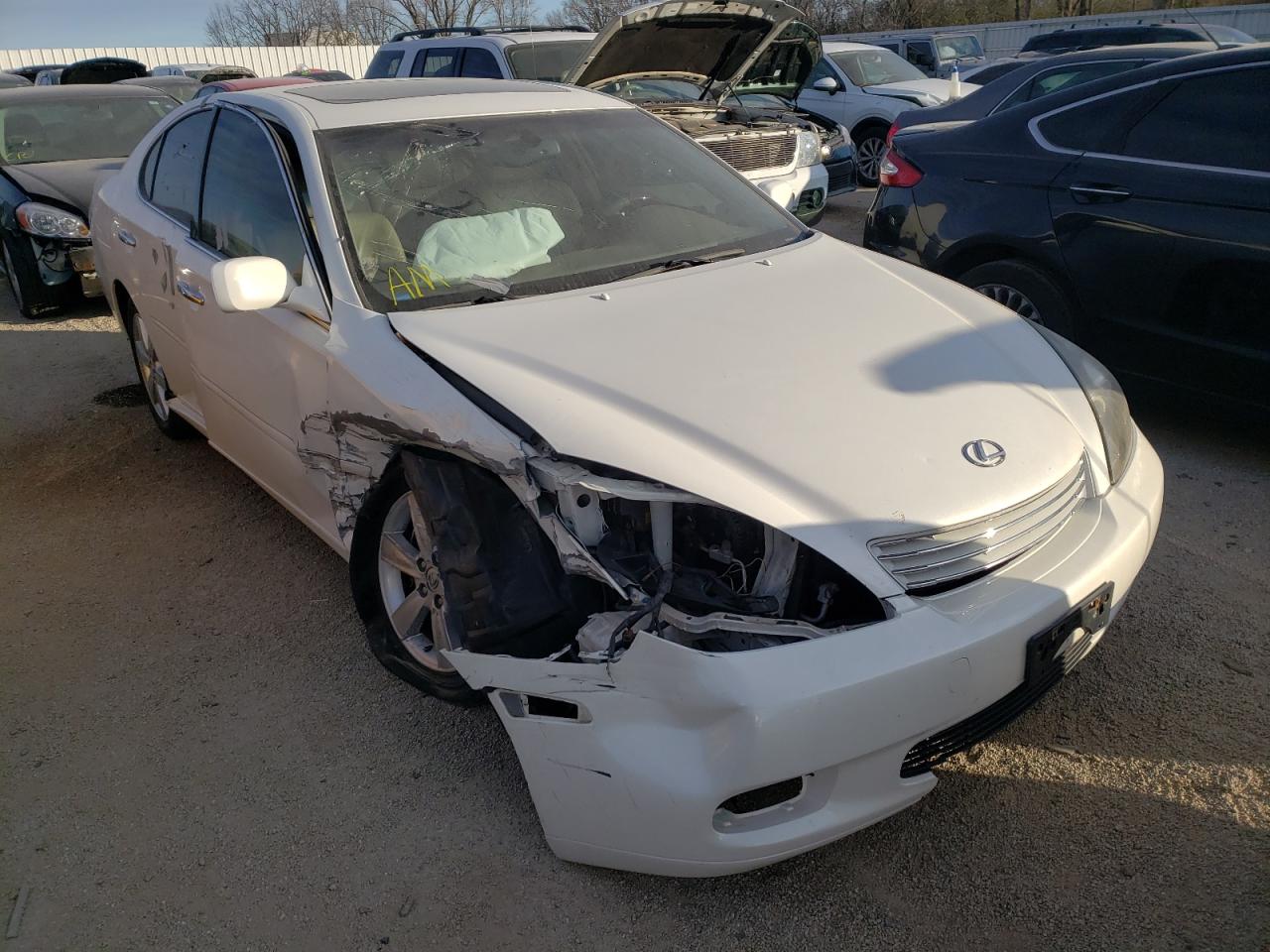 LEXUS ES 330 2004 with VIN JTHBA30G245001145 - Photo from auction