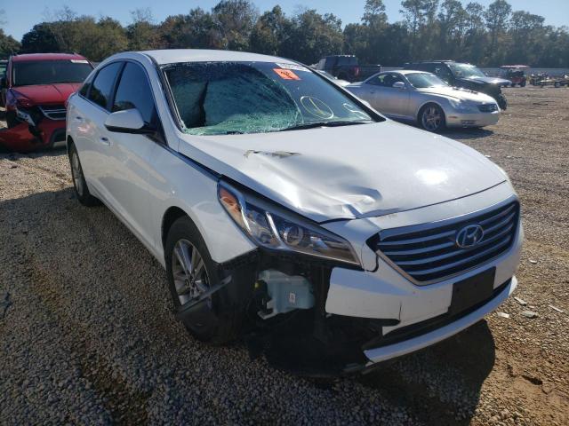HYUNDAI SONATA SE 2016 with VIN 5NPE24AFXGH269503 - Photo from auction
