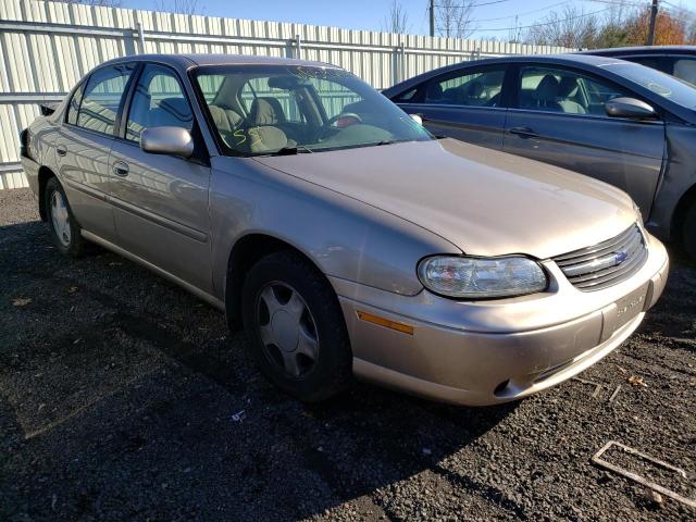 CHEVROLET MALIBU LS 2000 with VIN 1G1NE52J9Y6139636 - Photo from auction