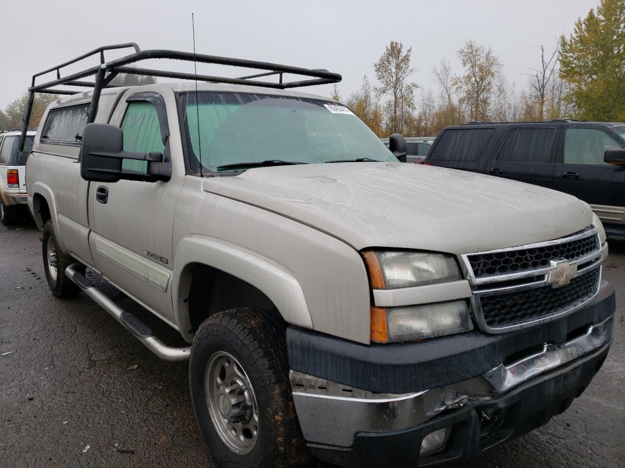 CHEVROLET SILVERADO 2006 with VIN 1GCHC24U16E174397 - Photo from auction