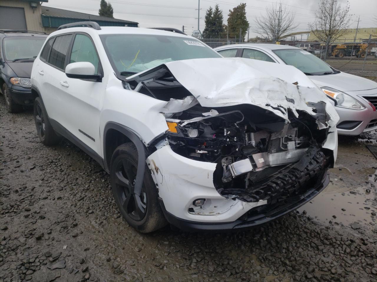 JEEP CHEROKEE L 2019 with VIN 1C4PJMLX6KD421583 - Photo from auction