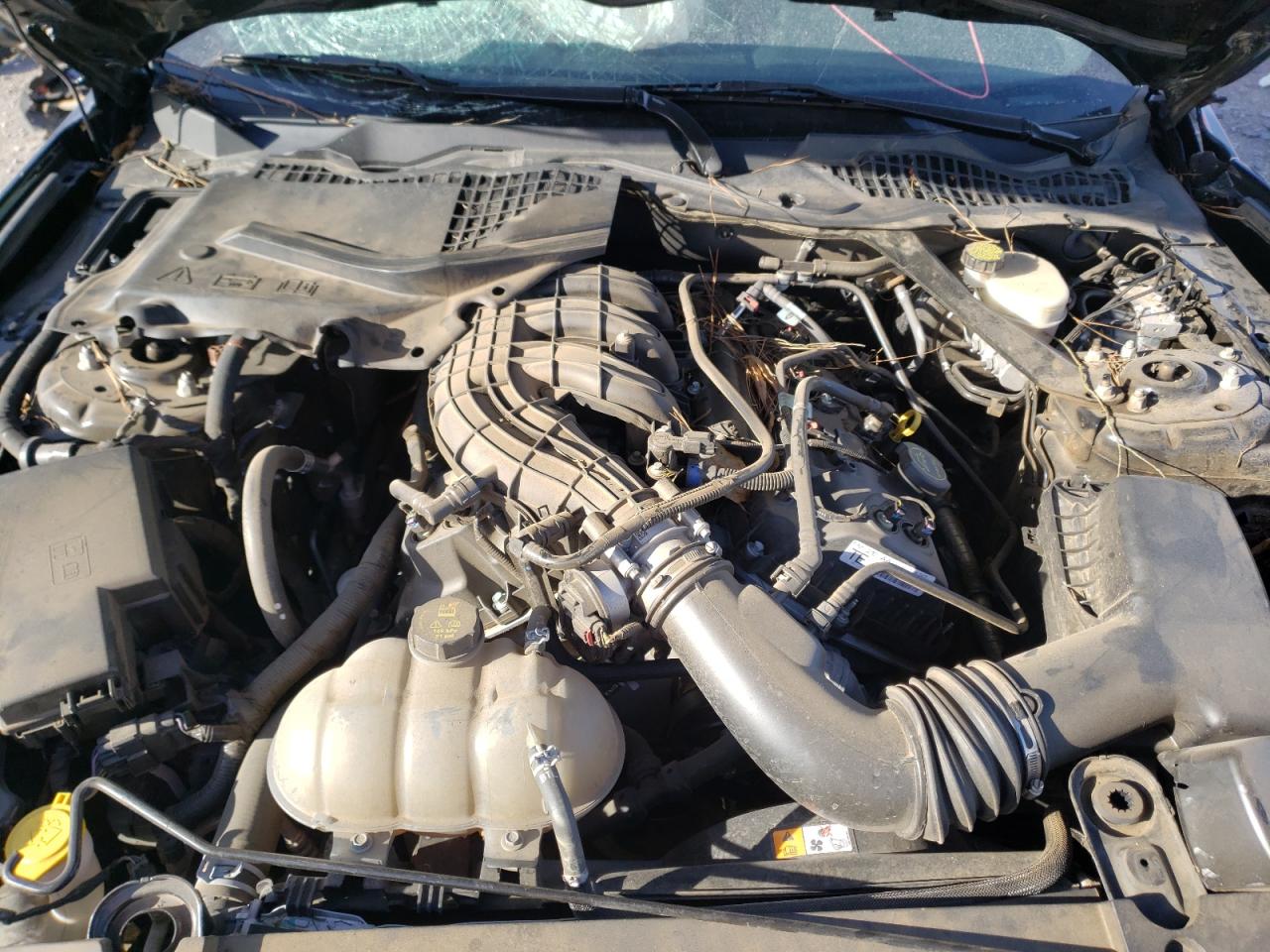 Photo 7 from auction – 2015 FORD MUSTANG with VIN 1FATP8EM9F5323533