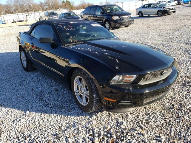 FORD MUSTANG 2012 with VIN 1ZVBP8EM7C5216897 - Photo from auction