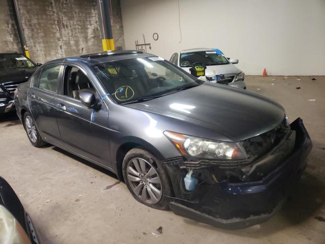 HONDA ACCORD EXL 2011 with VIN 1HGCP2F82BA026289 - Photo from auction