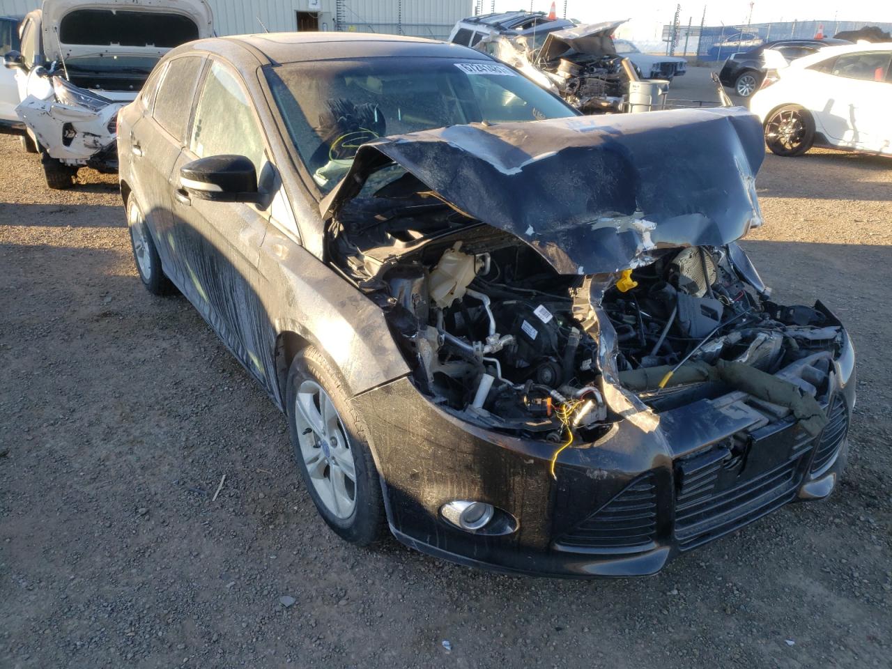 FORD FOCUS SE 2012 with VIN 1FAHP3F26CL137249 - Photo from auction