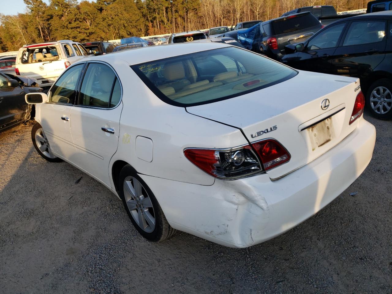 Photo 3 from auction – 2005 LEXUS ES 330 with VIN JTHBA30G455106769