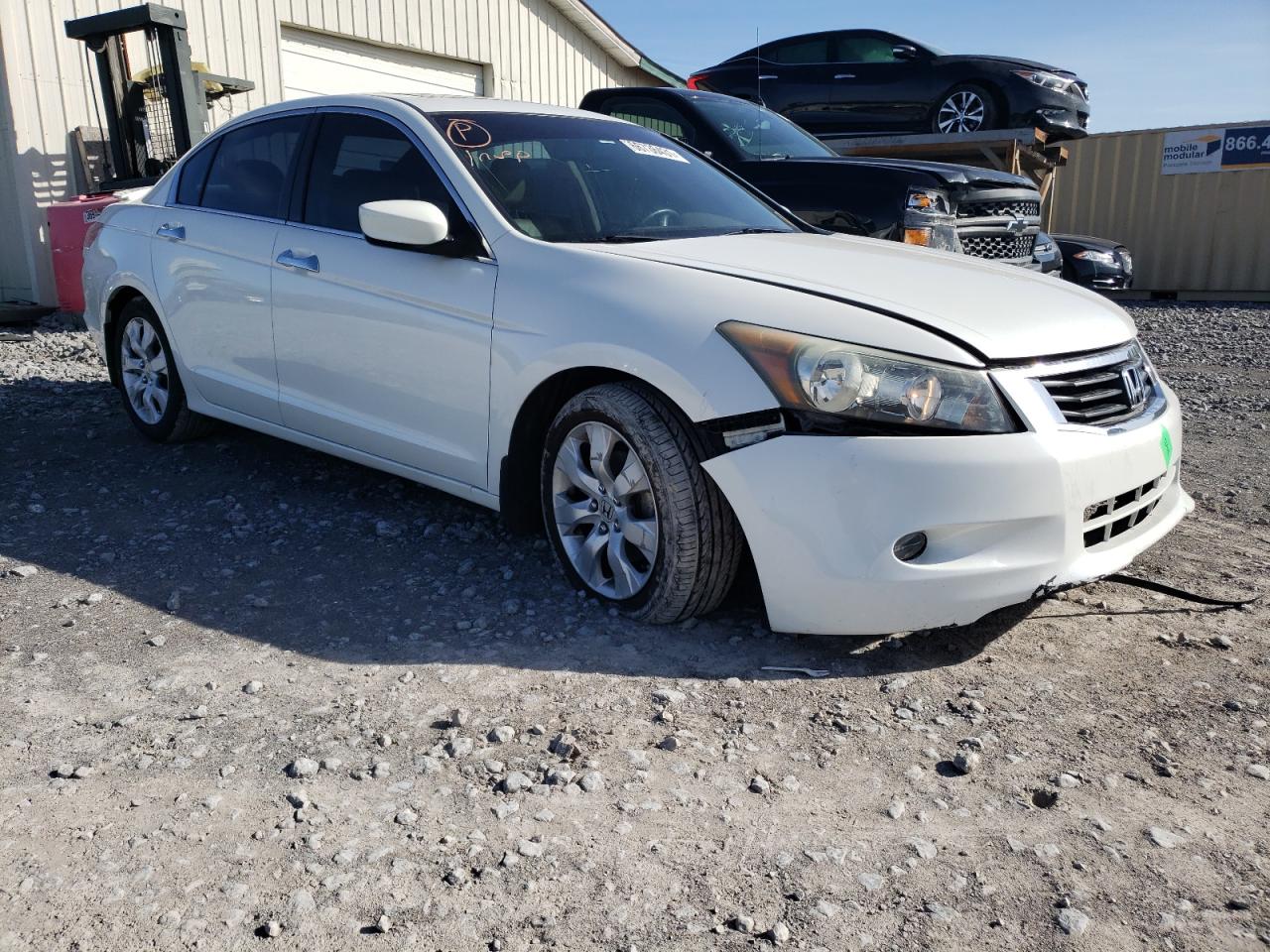 HONDA ACCORD EXL 2010 with VIN 5KBCP3F84AB016889 - Photo from auction