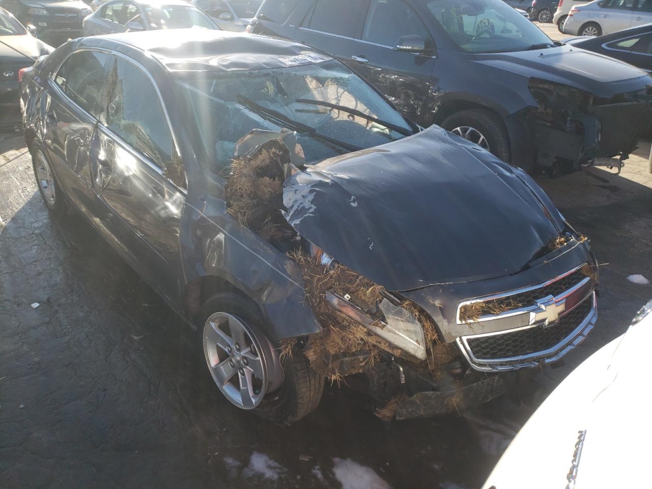 CHEVROLET MALIBU LS 2013 with VIN 1G11B5SA1DF237156 - Photo from auction