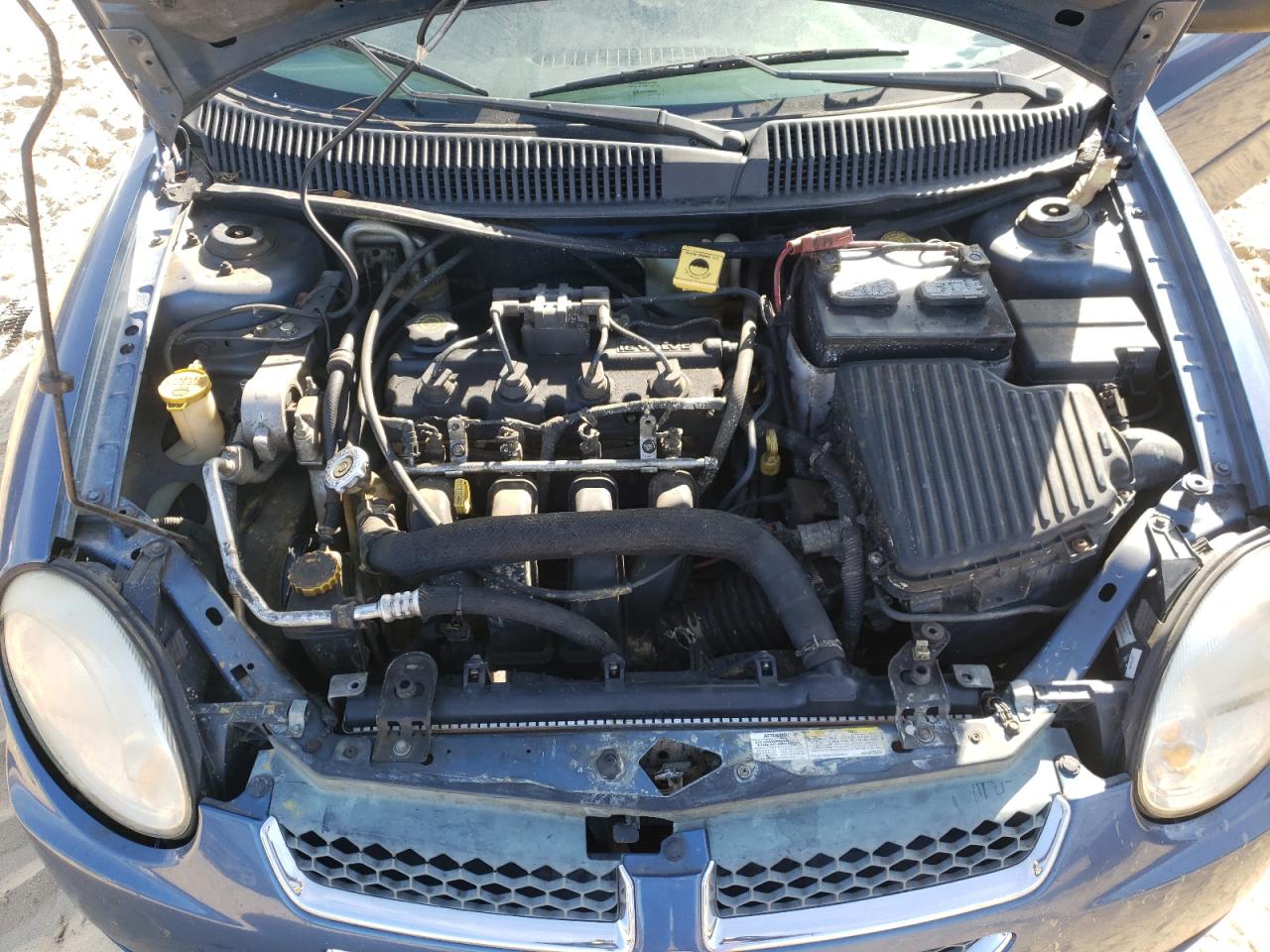 Photo 7 from auction – 2003 DODGE NEON with VIN 1B3ES56C63D103548