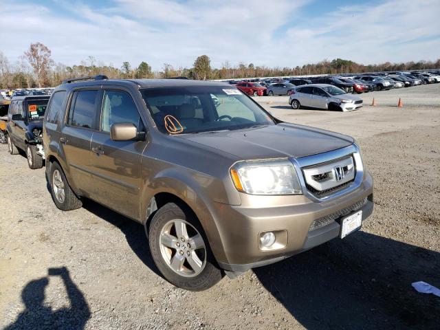 HONDA PILOT EXL 2009 with VIN 5FNYF48569B030708 - Photo from auction