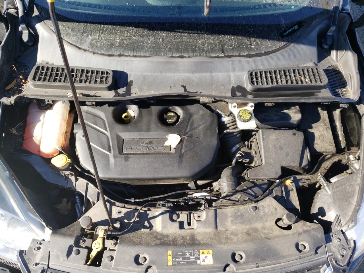 Photo 7 from auction – 2014 FORD ESCAPE TIT with VIN 1FMCU0J97EUD42118