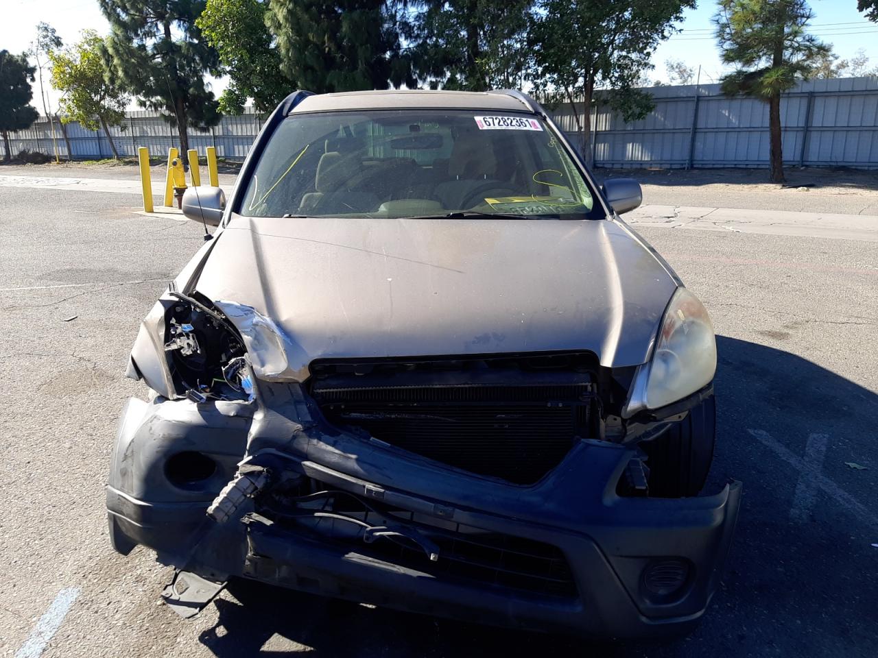 Photo 9 from auction – 2006 HONDA CR-V EX with VIN JHLRD78816C016345