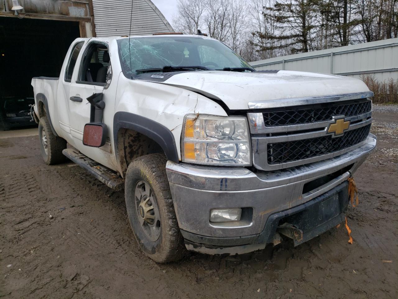 CHEVROLET SILVERADO 2011 with VIN 1GC2KXCG1BZ149469 - Photo from auction