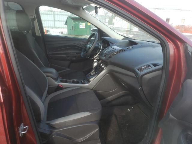 Photo 5 from auction – 2014 FORD ESCAPE S with VIN 1FMCU0F76EUC55043