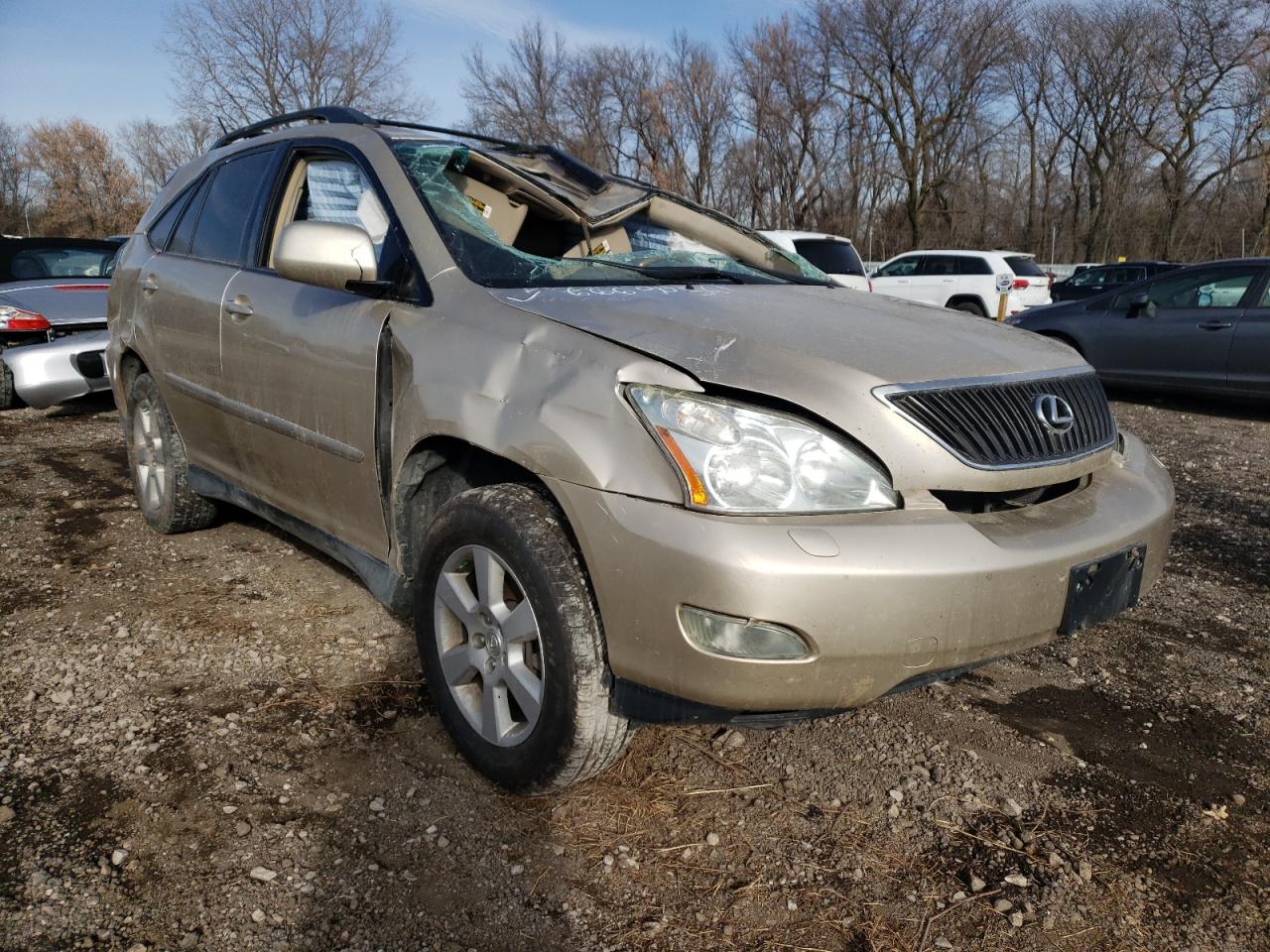 LEXUS RX 330 2005 with VIN 2T2HA31U45C046166 - Photo from auction