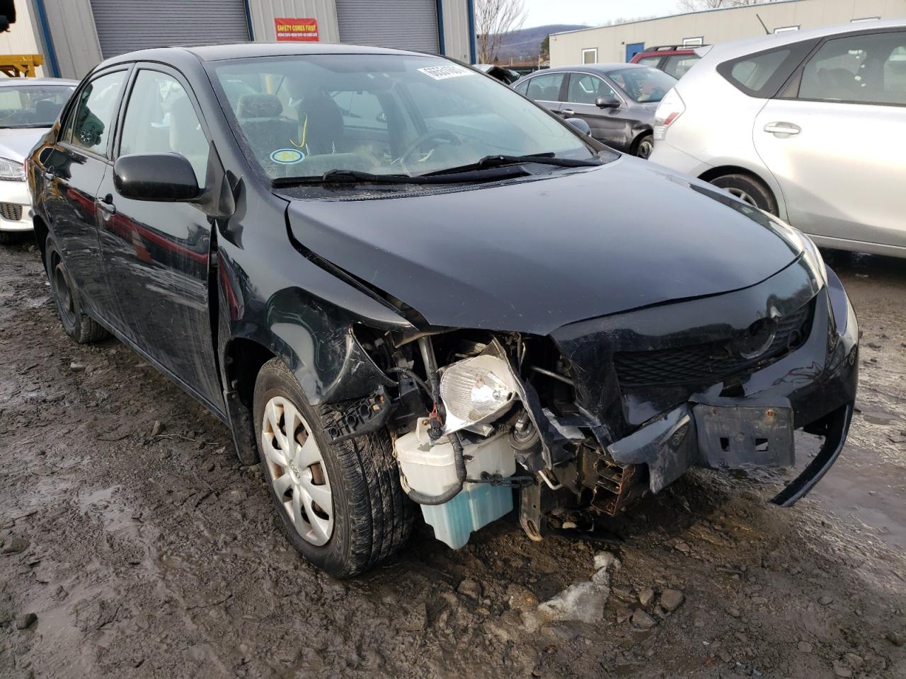 TOYOTA COROLLA BA 2010 with VIN 2T1BU4EE9AC194415 - Photo from auction