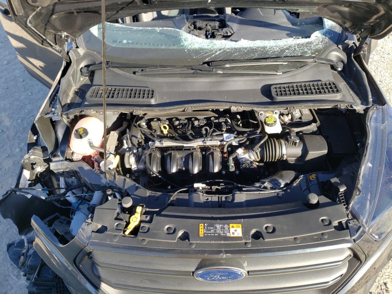 Photo 7 from auction – 2019 FORD ESCAPE S with VIN 1FMCU0F75KUC53019