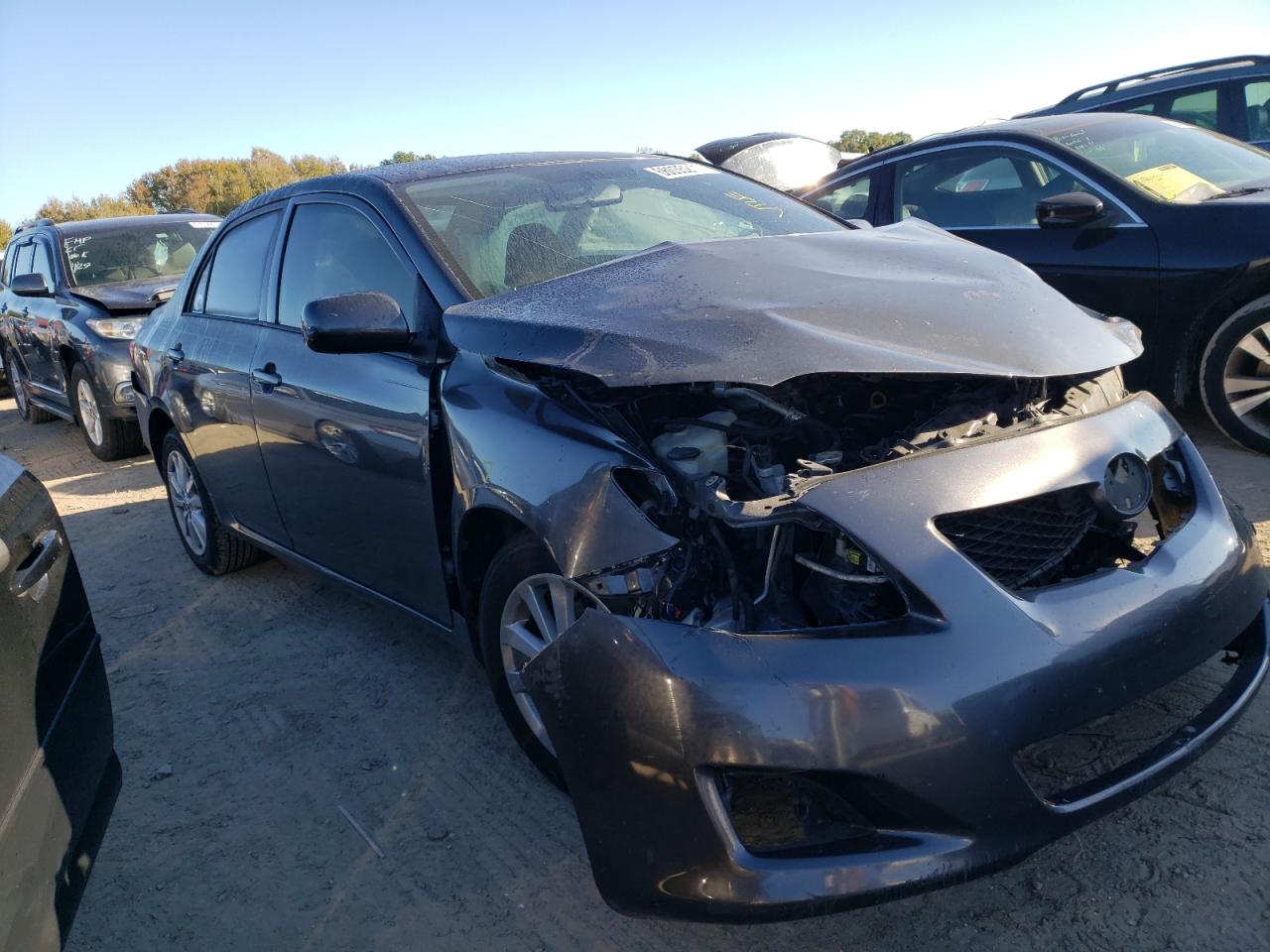 TOYOTA COROLLA BA 2009 with VIN JTDBL40EX99073162 - Photo from auction