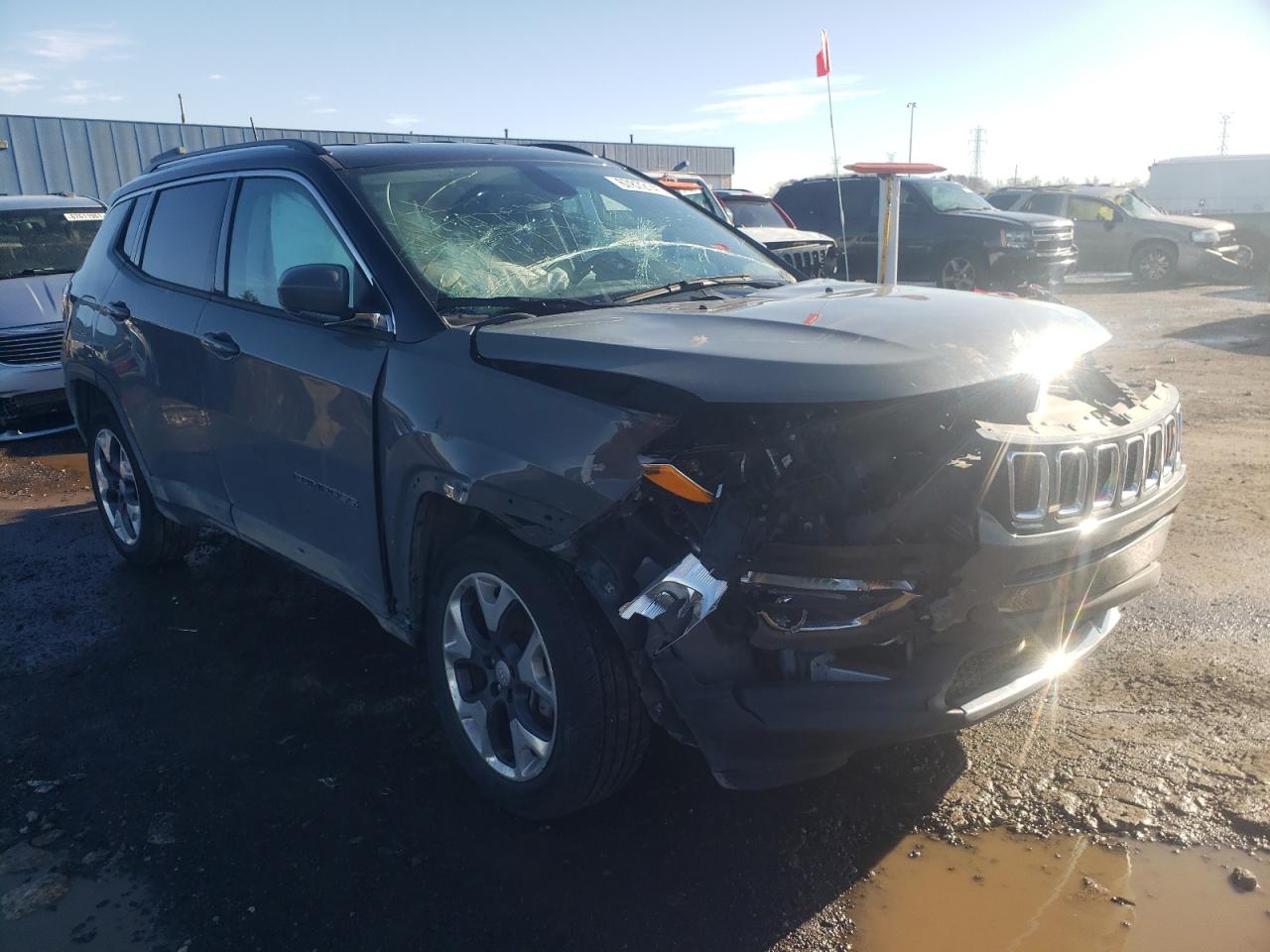JEEP COMPASS LI 2019 with VIN 3C4NJDCB0KT828613 - Photo from auction