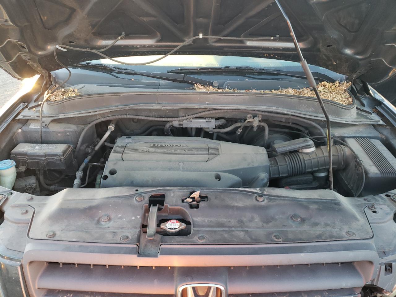Photo 7 from auction – 2004 HONDA PILOT EX with VIN 2HKYF18404H521968