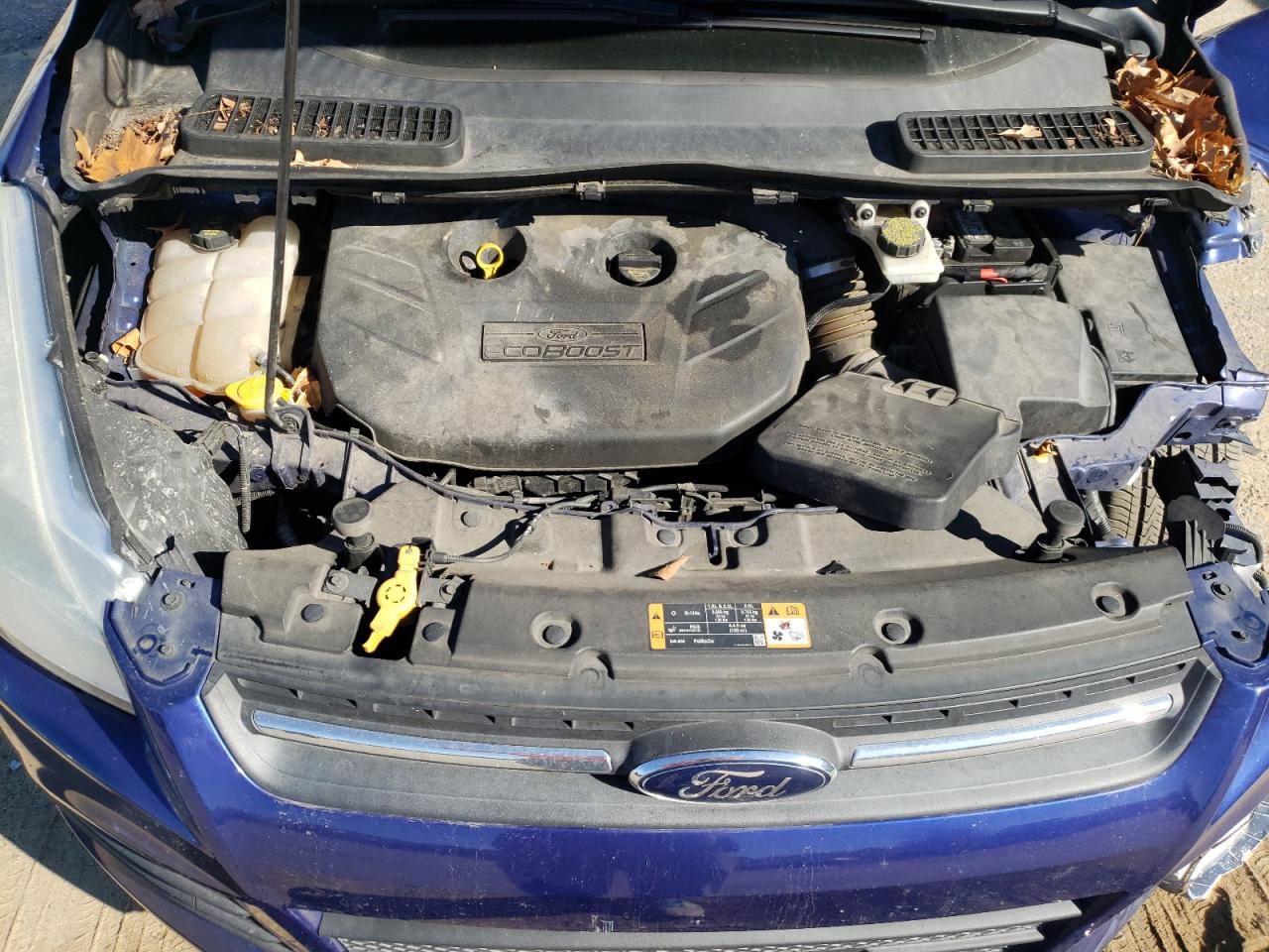 Photo 7 from auction – 2014 FORD ESCAPE SE with VIN 1FMCU0G96EUB76035
