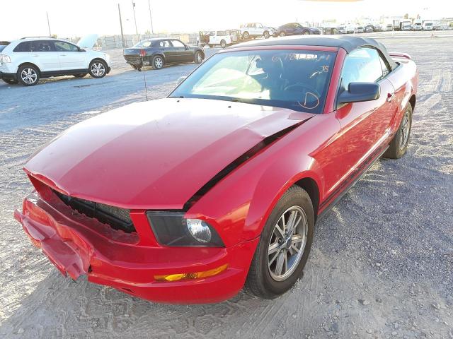Photo 2 from auction – 2005 FORD MUSTANG with VIN 1ZVHT84N355260379